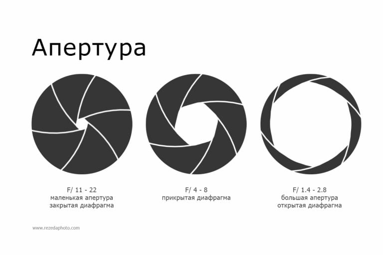 Типы света в фотографии